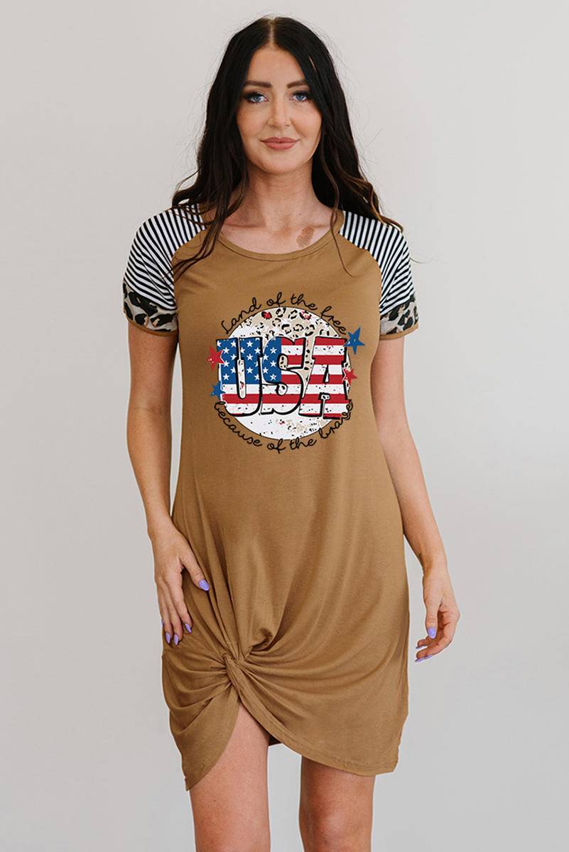 USA Flag Day Leopard Striped Sleeve Dress
