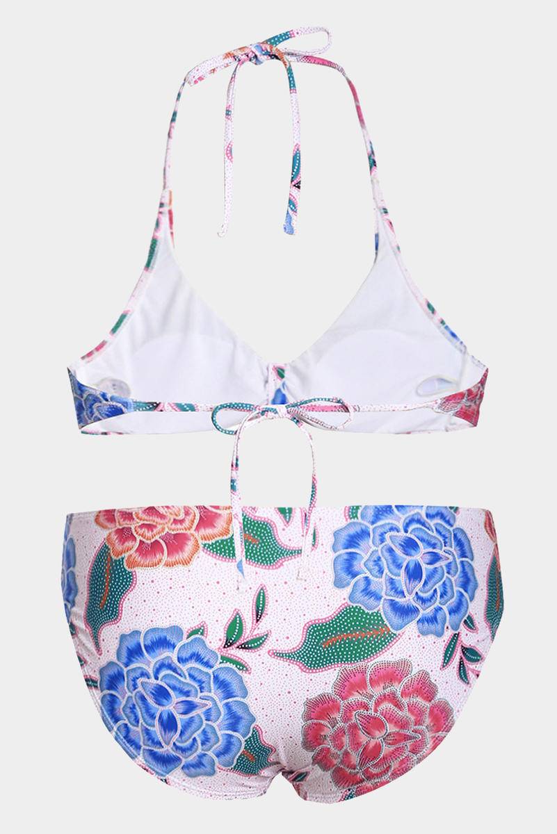 2Pcs Floral Print Halterneck Bikini Set